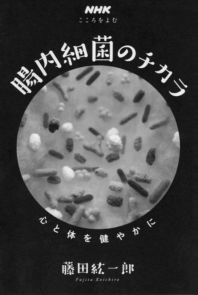 細菌の立体フェルトイラスト